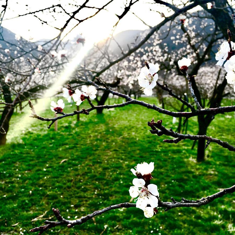 Rohrendorf bei Krems Landhaus Weinblick מראה חיצוני תמונה