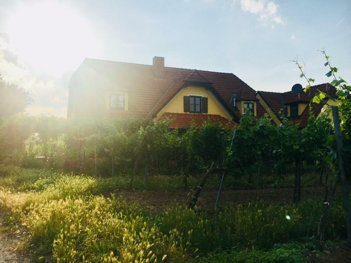 Rohrendorf bei Krems Landhaus Weinblick מראה חיצוני תמונה