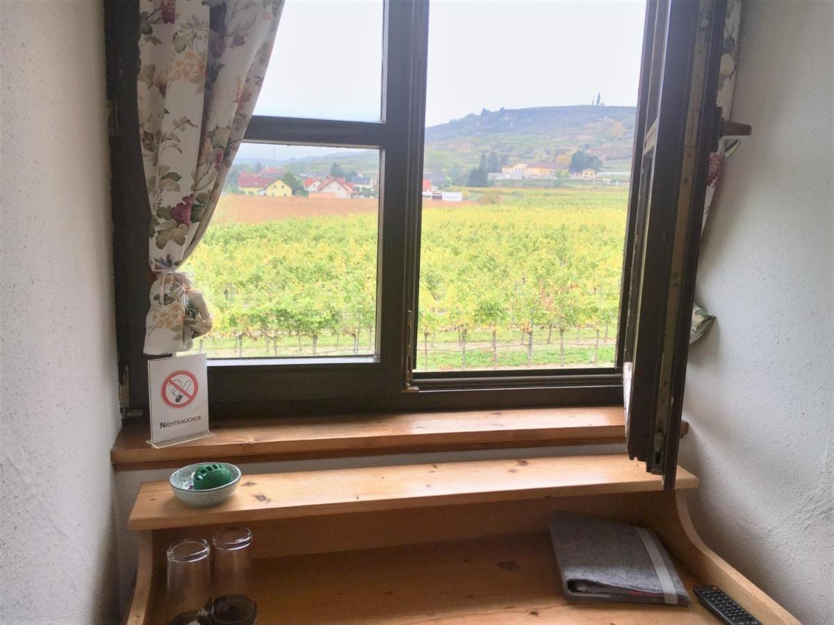 Rohrendorf bei Krems Landhaus Weinblick מראה חיצוני תמונה